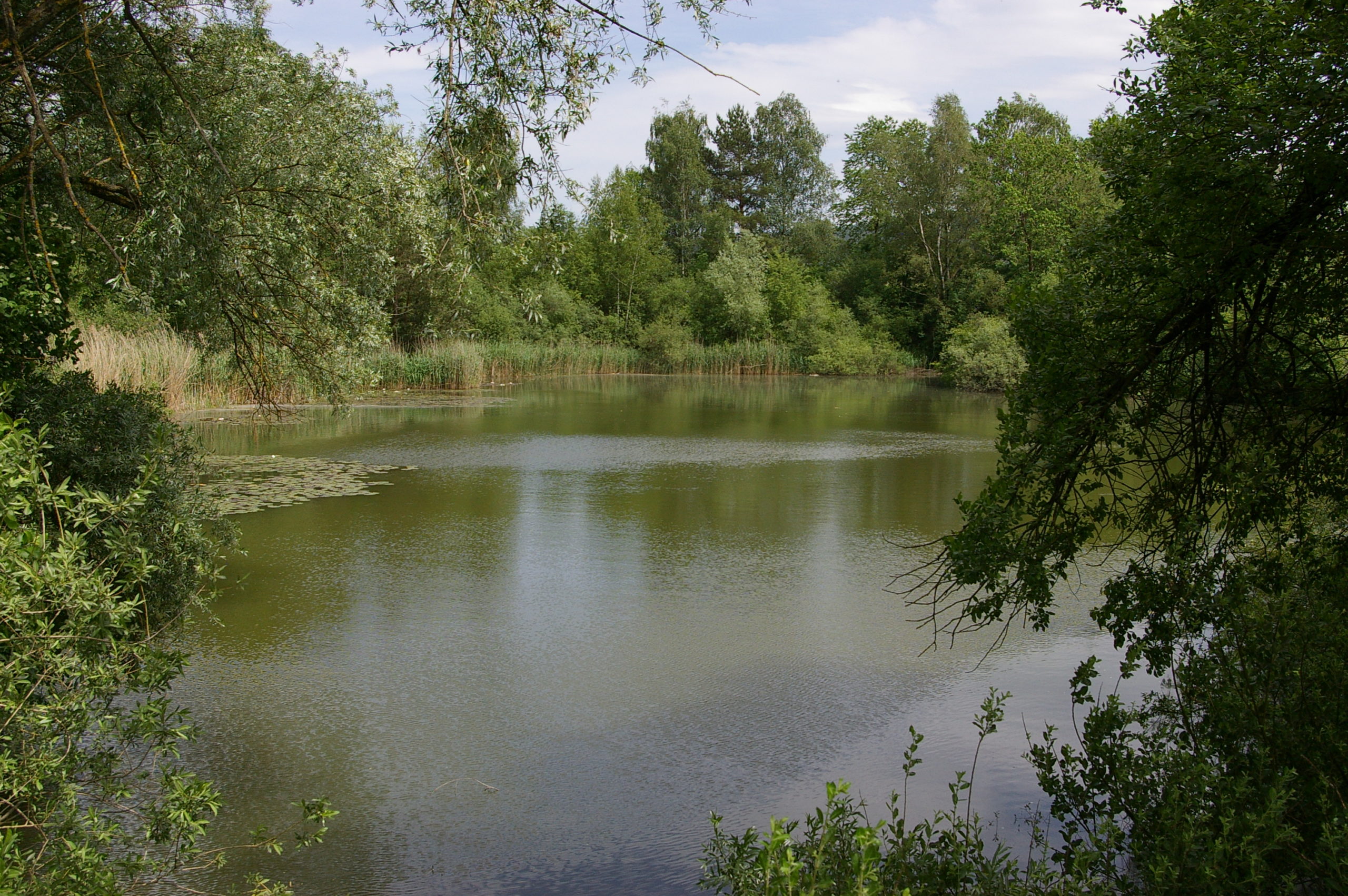 Ziegeleiweiher Eschlikon