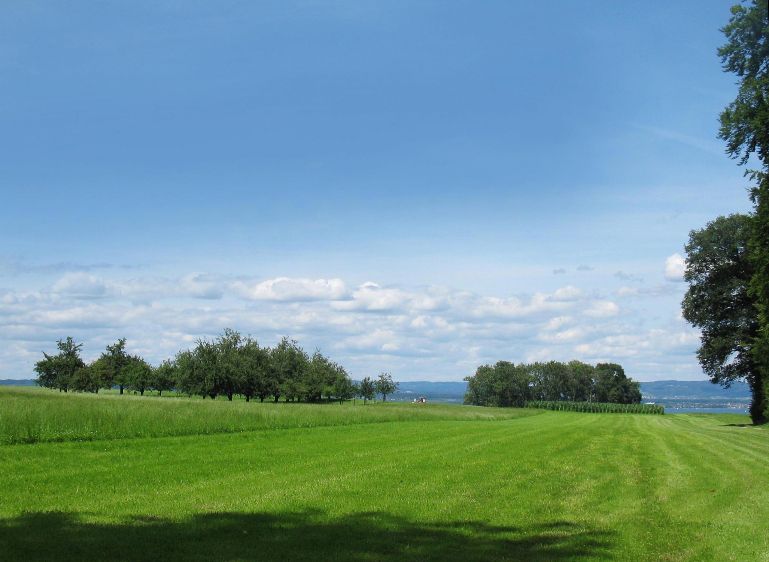 Thurgauer Landschaft